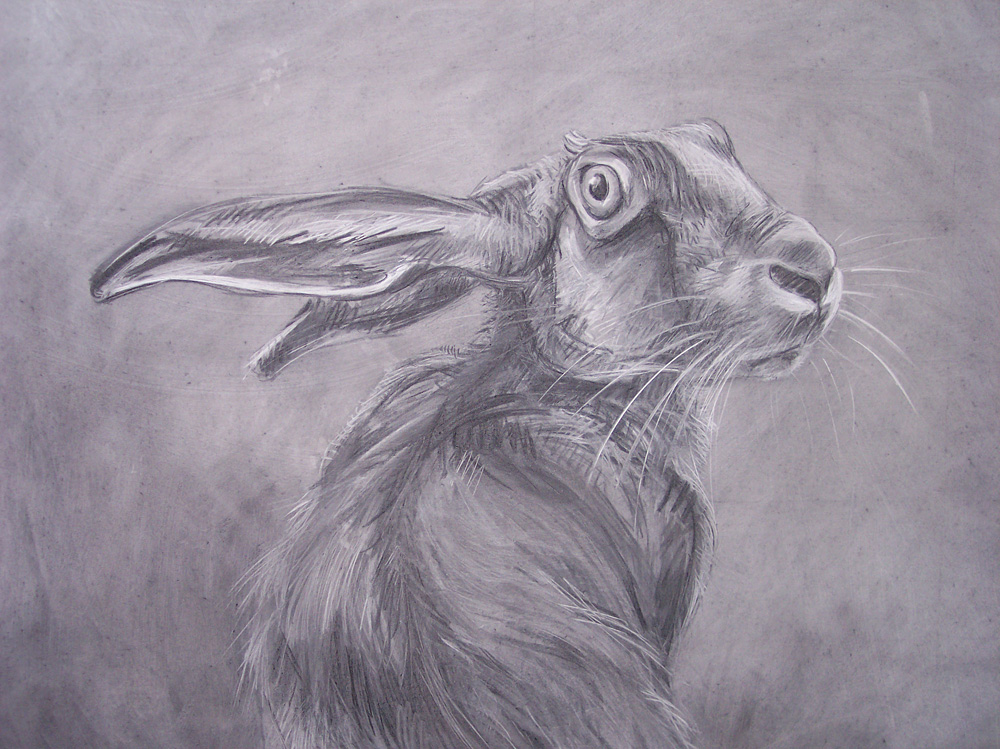 Hare