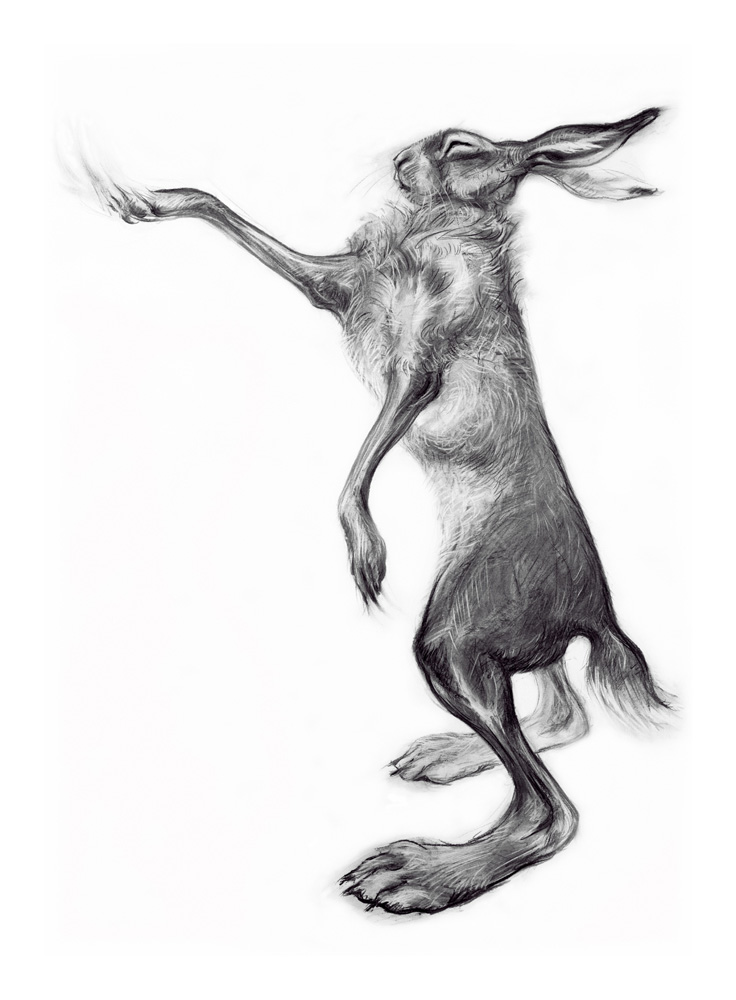 Moondance
