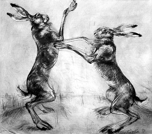 Hares