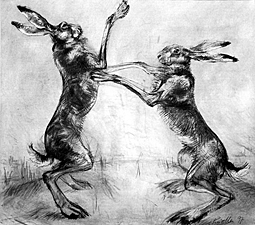 Hares