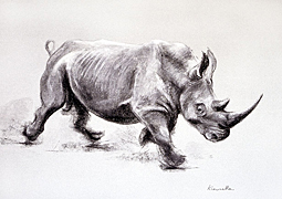 Rhino