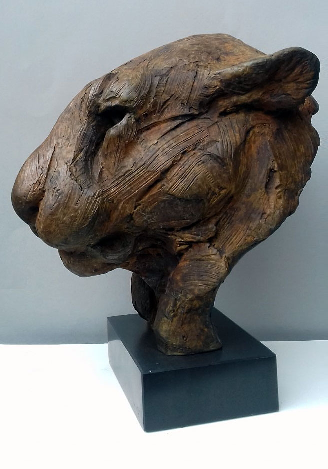 Leopard Head Study