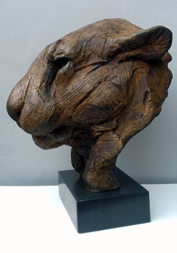 Leopard Head Study