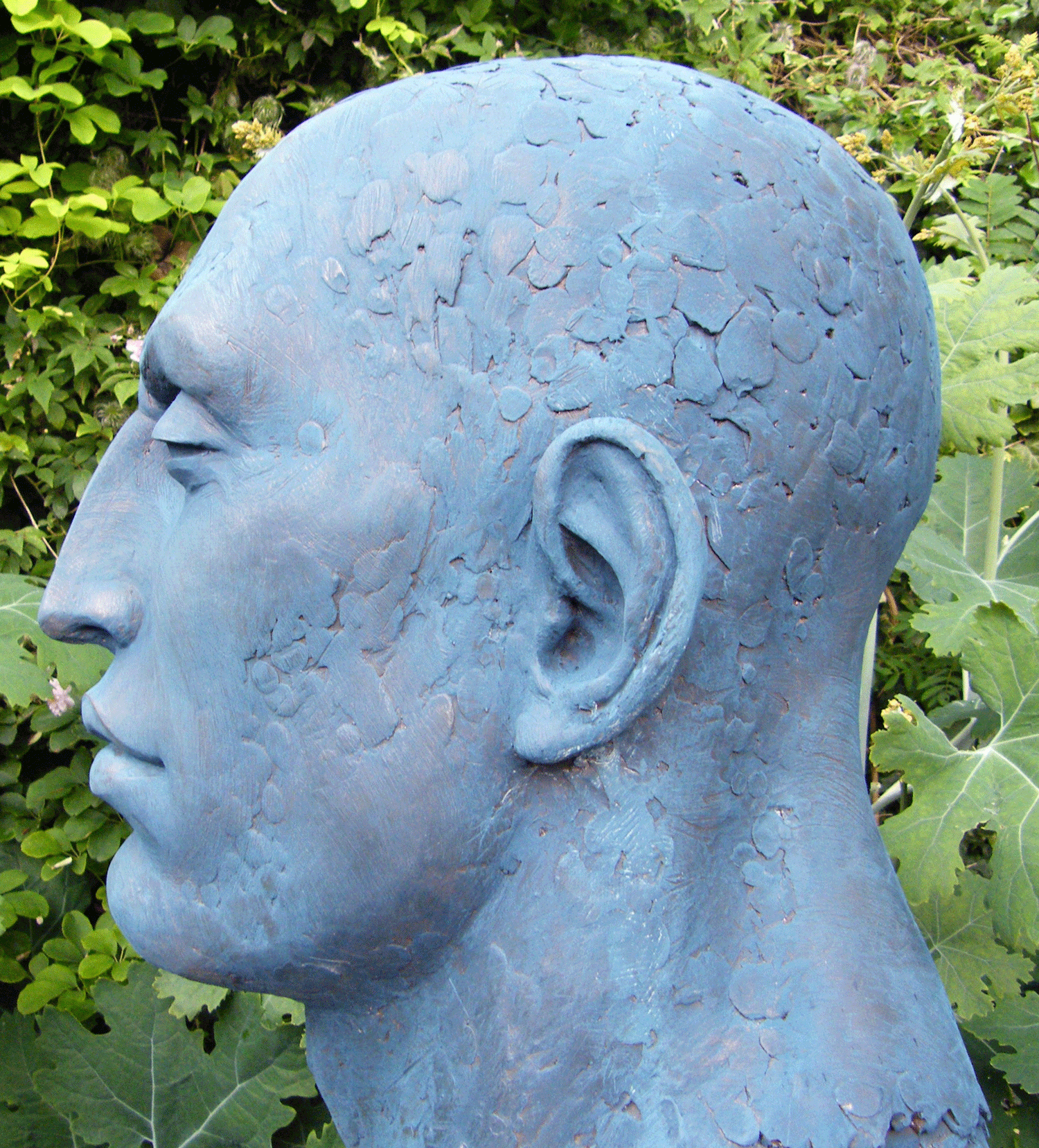 Monumental Blue Head