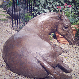 Resting Horse