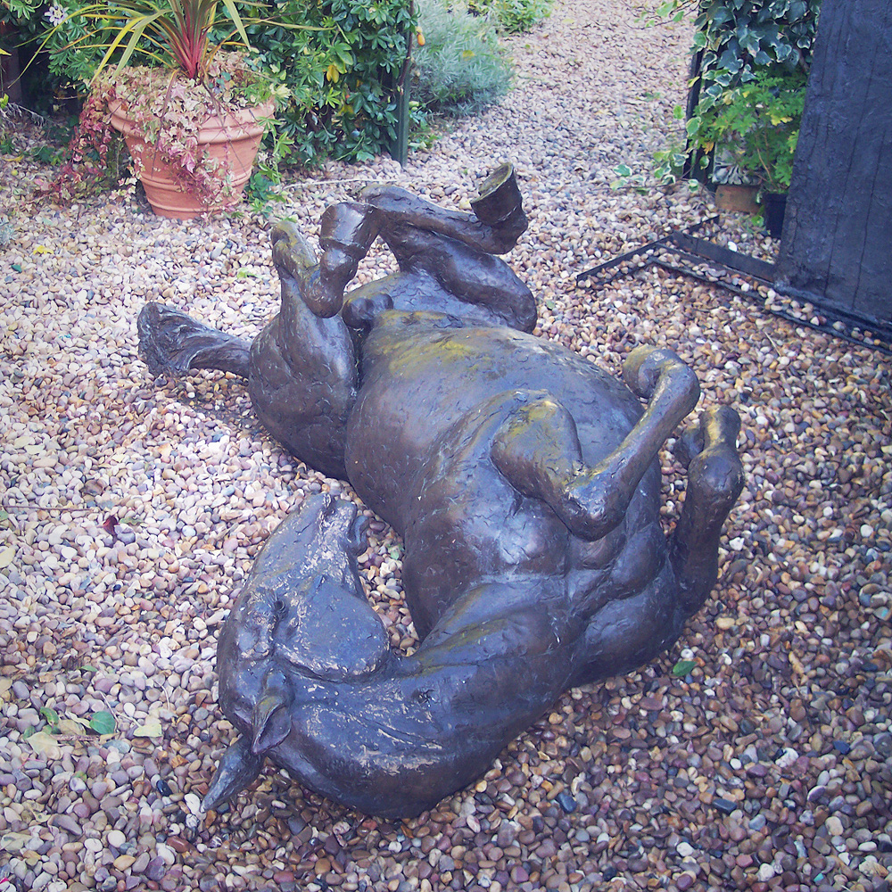 Rolling Horse