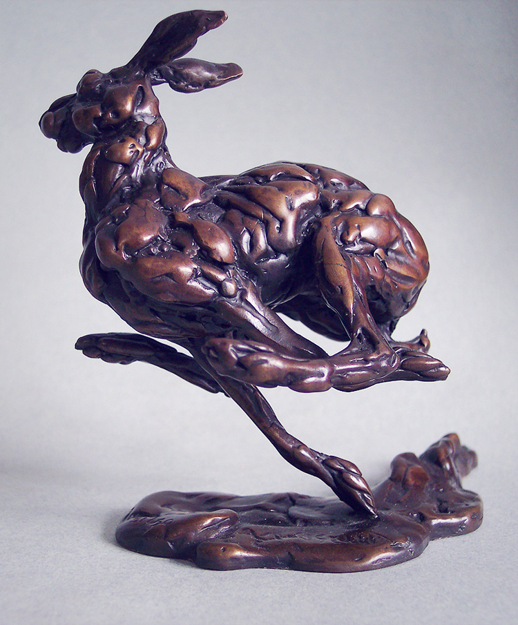 Bunched Hare