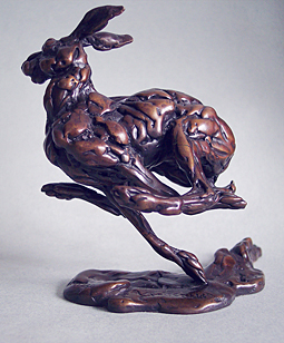Bunched Hare