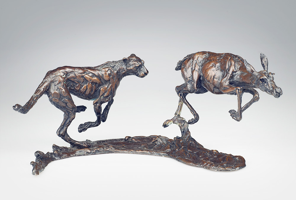 Cheetah Impala