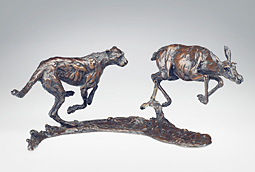 Cheetah Impala