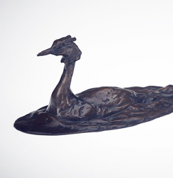Great Crested Grebe
