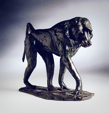 Olive Baboon