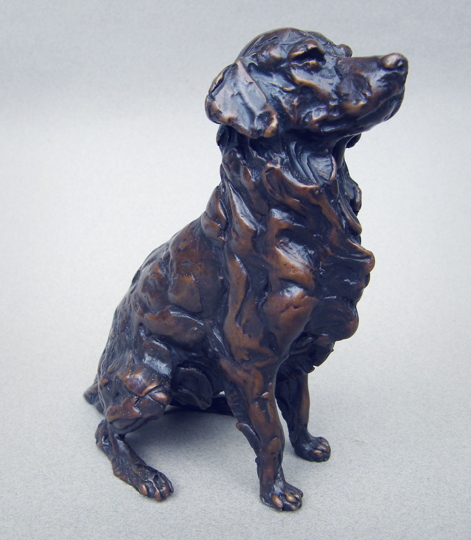 Seated Golden Retriever