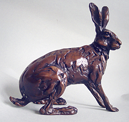 Waiting Hare