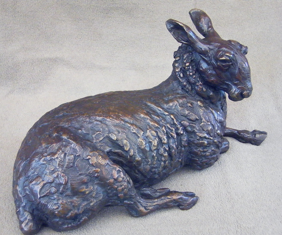 Border Leicester Ram