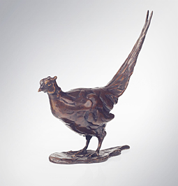 Pheasant Standing