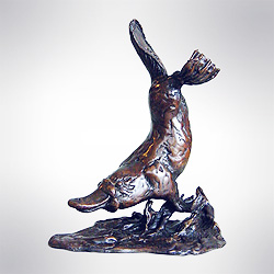 Duckbilled Platypus