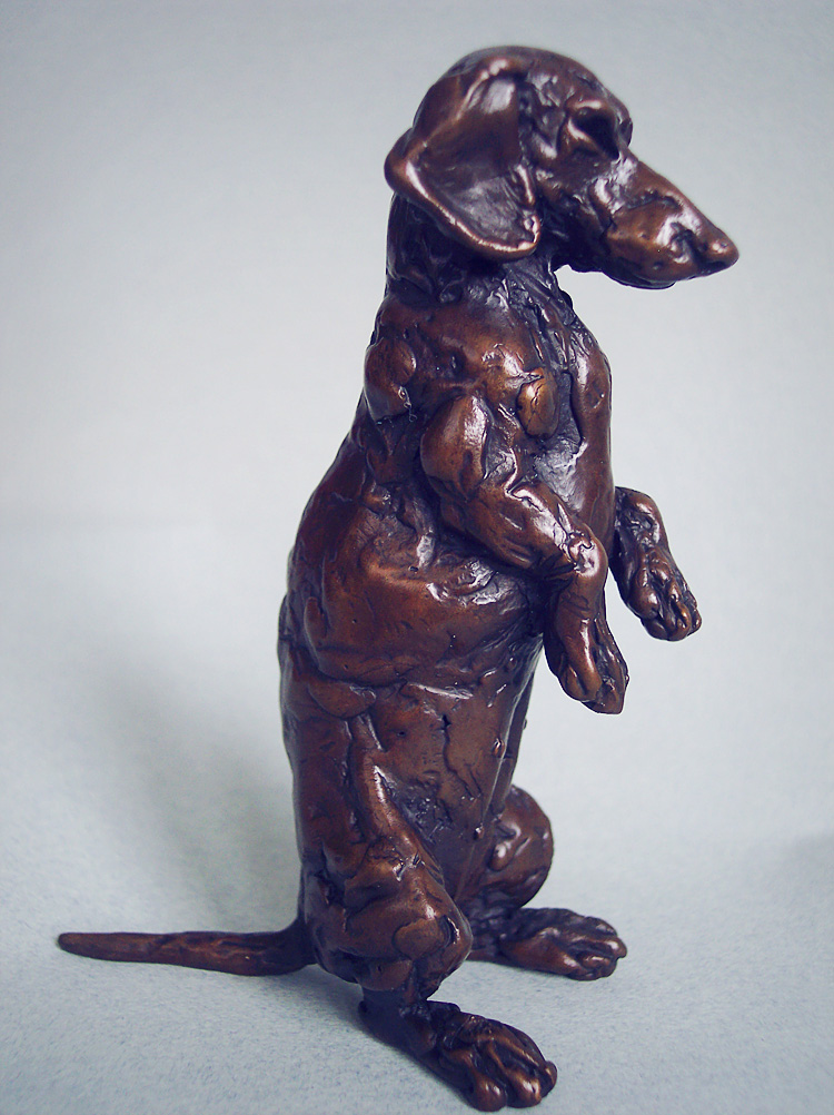 Sitting Dachshund