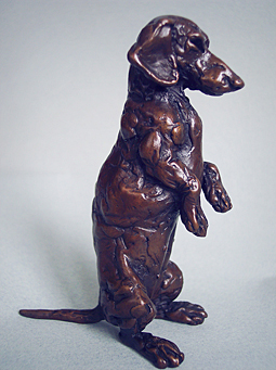 Sitting Dachshund