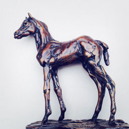 Standing Foal